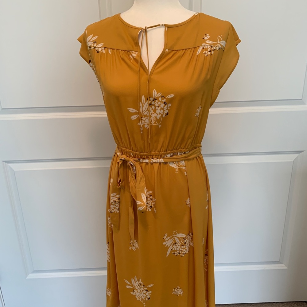 Loft dress